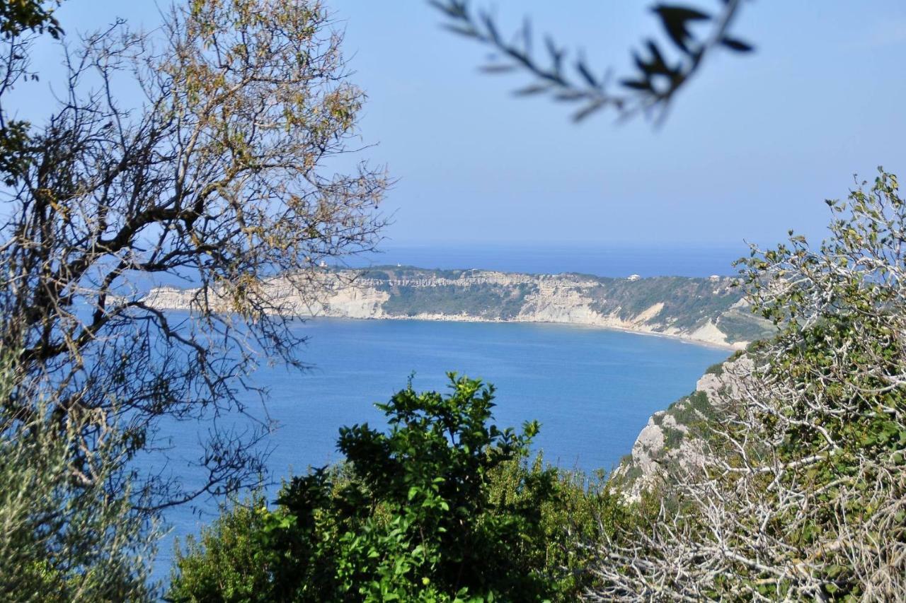 Villa Meli Afionas Corfu エクステリア 写真